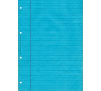 ELVE BLOC AUDIT lignes + marge 297X210 80 P. BLEU