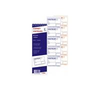 Bloc spiralé 'Carnet Visiteurs', 200 fiches, dupli