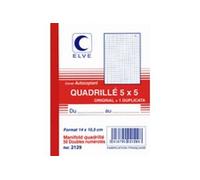 ELVE Manifold quadrillé (5/5), 210 x 297 mm, tripli