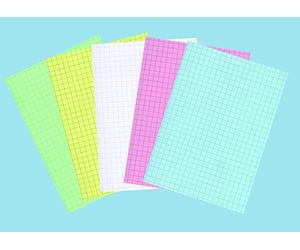 ELVE Pqt 100 Fiches Bristol 100x150 - Quadrillé 5x5 - Blanc - A6