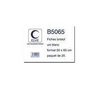 ELVE Pqt 25 Fiches bristol 50 x 65 cm 180g Unie Blanc