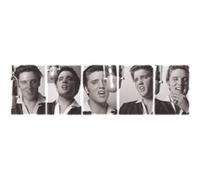 Elvis Presley - 30,5x91,5 cm - AFFICHE / POSTER G