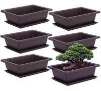 Elzusha - Coffret de 6 pots d'entraînement pour bonsaï avec plateau