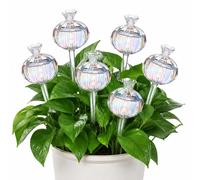 Elzusha - Ensemble de 6 boules d'eau en verre en forme de cactus pour plantes (transparent)