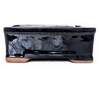 Elzusha - Pot en céramique émaillée rectangulaire pour bonsaï (noir, 16 cm)