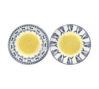 Embossed Serving Kitchen Tool Dish - Manual Garlic Grater Plate | Garlic Grater Dish for Ginger Lemon Fruit Tomato Butter Chocolate