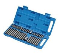 embouts torx 6 pans spline xzn - coffret 40 embouts chrome vanadium - Draper Tools Chrome G
