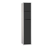 EMCO Asis 150 Module d'armoire encastré pour toilettes d'invités, meuble de salle de bain comme porte-papier toilette et porte-brosse WC avec compartiment supplémentaire, armoire haute avec fonction «