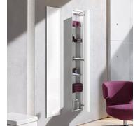 Emco Bad Module d'armoire encastré Asis 2.0 316 x 1586 mm Aluminium/Optiblanc