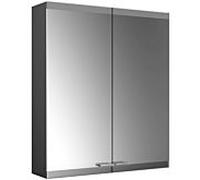 Emco Asis Evo Armoire de toilette éclairée en saillie 939713303 600 x 700 mm, sans chauffage des rétroviseurs, 2 portes, noir, avec système d'éclairage