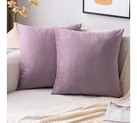 EMEMA Housses de Coussins 40x40 cm en Velours Violet Clair 2 Pièces | Décoratif Canapé Taie d'oreiller Super Lisse Doux Decoration Maison Salon Chambre pour Canapé