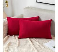 EMEMA Housses de Coussins 40x60 cm en Velours Décoratif Canapé Taie d'oreiller Super Lisse Doux Decoration Maison Salon Chambre pour Canapé 2 Pièces Lot de 2 Rouge