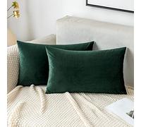 EMEMA Housses de Coussins 40x60 cm en Velours Décoratif Canapé Taie d'oreiller Super Lisse Doux Decoration Maison Salon Chambre pour Canapé 2 Pièces Lot de 2 Vert Foncé