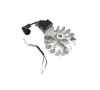 Emeralld Bobine d'allumage avec volant d'inertie compatible avec AL-KO BC410 BC4125