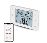 EMOS GoSmart Thermostat d'ambiance WiFi programmable Smart Thermostat Cheminée App