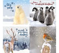 Emotional Rescue Lot de 12 cartes de Noël, 4 motifs différents, lot de 12 cartes de Noël avec animaux multicolore AMZBRIGHT1
