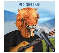 Emotional Rescue Safari virtuel, carte d'anniversaire amusante, carte d'anniversaire Ned Sheeran pour lui, carte d'anniversaire pour homme