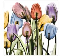 Empire Art Direct Panneau en verre trempé flottant sans cadre - Art mural graphique prêt à accrocher - 61 x 61 cm - Tulip Scape X-ray II