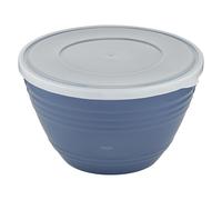 Emsa Prep&Bake K32541 Bol mélangeur en plastique avec couvercle de conservation pour le rangement au réfrigérateur, fond antidérapant, stabilité parfaite lors du mélange, passe au lave-vaisselle