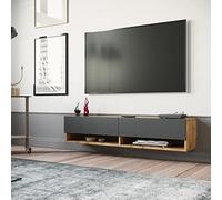 [en.casa] Meuble TV à 2 Portes Meuble de Rangement Design pour Salon avec 2 Espaces de Stockage Panneau de Particules Mélaminé 30 x 140 x 32 cm Effet Chêne Rustique Anthracite