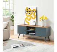 Meuble TV Reyljand 120 x 35 x 50 cm gris effet chêne