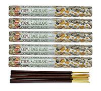 Encens Copal/Sauge Blanche Lot de 100 bâtons | HEM