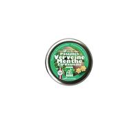 Encens du monde - Encens du Monde - Florisens Pastilles Verveine, Menthe, Cardamome BIO - 45 g - BIO