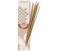 Esteban - Encens Indien Iris Cachemire