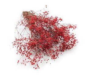 Enchanted Fleurs Séchées, Gypsophile Stabilisée, 120 g, Rouge Pastel