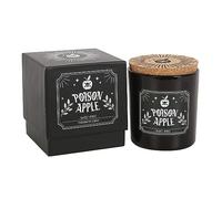 Enchanting Poison Bougie Pomme - Mélange parfumé captivant et séduisant pour 21 heures de combustion - Expérience sensorielle envoûtante et gourmande