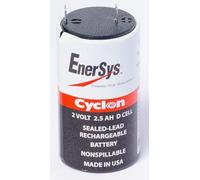 Enersys - Batterie cyclon Enersys 0810-0004 (D Cell) 2V 2.5Ah F4.8