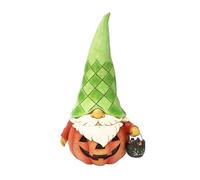 Enesco Jim Shore Heartwood Cr igurine de Nain de Citrouille d'halloween, 17 cm, Multicolore