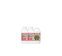 Engrais de Floraison Basic Bloom Xpert Nutrients Master Bloom B (1L)| Engrais de Floraison Universel | Stimulateur de Floraison Pour Culture en Intérieur et en Extérieur