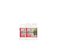 Engrais de Floraison Basic Bloom Xpert Nutrients Master Bloom B (250 ml)| Engrais de Floraison Universel | Stimulateur de Floraison Pour Culture en Intérieur et en Extérieur