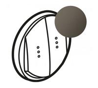 Enjoliveur Céliane pour double interrupteur , va-et-vient ou poussoir à voyant - finition graphite - Legrand