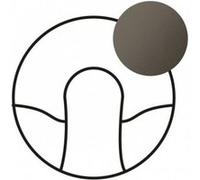 Legrand 067941 Enjoliveur Céliane pour Sortie de Câble, Finition Graphite, Lot de 10