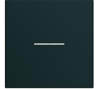 Enjoliveur interrupteur à voyant 2 modules night GALLERY HAGER WXD001N