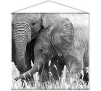 Toile murale imprimée éléphant - 150 x 150 cm - Noir et blanc
