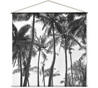 Toile murale imprimée palmier - 150 x 150 cm - Noir et blanc