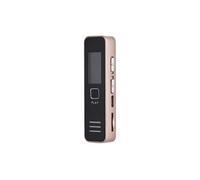 Enregistreur vocal numérique Lecteur audio Dictaphone Lecteur MP3 Clé USB pour réunion D'or