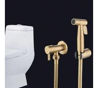 Ensemble bidet de toilette avec nettoyage automatique, douchette bidet en acier inoxydable 304, pistolet de pulvérisation d'eau froide, ensemble de douchette bidet à main pour toilettes, accessoires d