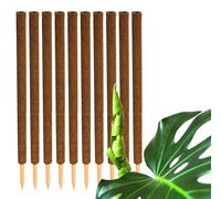 Ensemble de 10 tuteurs en coco de 110 cm pour plantes d'intérieur