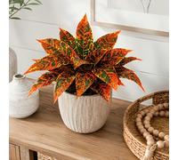 Ensemble de 2 pièces - Arbre artificiel en bois de sang brésilien avec couleur et ombre simulées - Idéal pour la décoration de plantes , Plantes artificielles de haute qualité, décoration de palmier, 