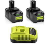 Ensemble de batteries 2 x 5,0 Ah, 18 V, lithium-ion, avec chargeur 4 A