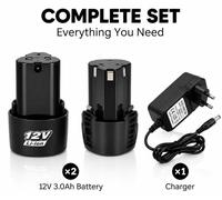 Ensemble de batteries - Batterie lithium-ion 12 V 3000 mAh - 2 batteries - 1 chargeur - Protection BMS - Protection contre les surcharges et la surchauffe - Pour outils électriques