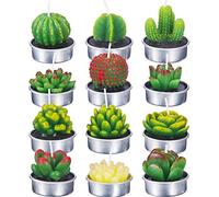 Ensemble de Bougies de Cactus 15 * 10 * 10 12 Pièces Bougies de Plantes Succulentes Bougies Succulentes Délicates pour la Fête de Mariage Spa Décoration de la Maison Cadeaux