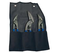 Ensemble de ciseaux Bessey Ideal/Pelikan dans une trousse à roulettes DSET-SF3 | DSET-SF3