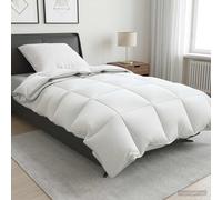 Ensemble de couette 90 % en duvet d’oie FULDA 2 pc Blanc canard literie vidaXL v