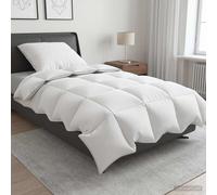 Ensemble de couette 90 % en duvet d’oie FULDA 2 pièces Blanc canard vidaXL vidaX