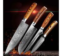 Ensemble de couteaux de haute qualité, comprenant 4 pièces : lame en acier inoxydable carbone V10, couteau de chef, couteau Santoku, couteau à désosser et couteau à légumes